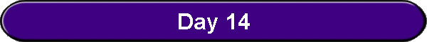 Day 14