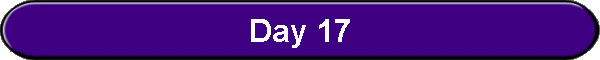 Day 17