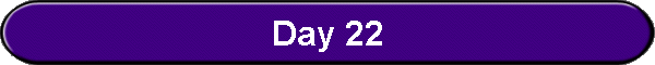Day 22