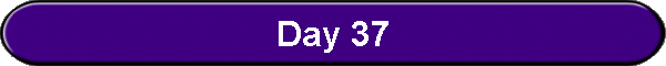Day 37