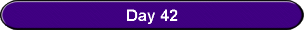 Day 42