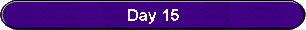 Day 15