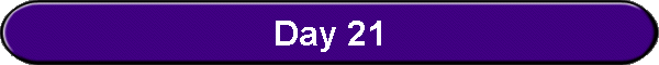 Day 21